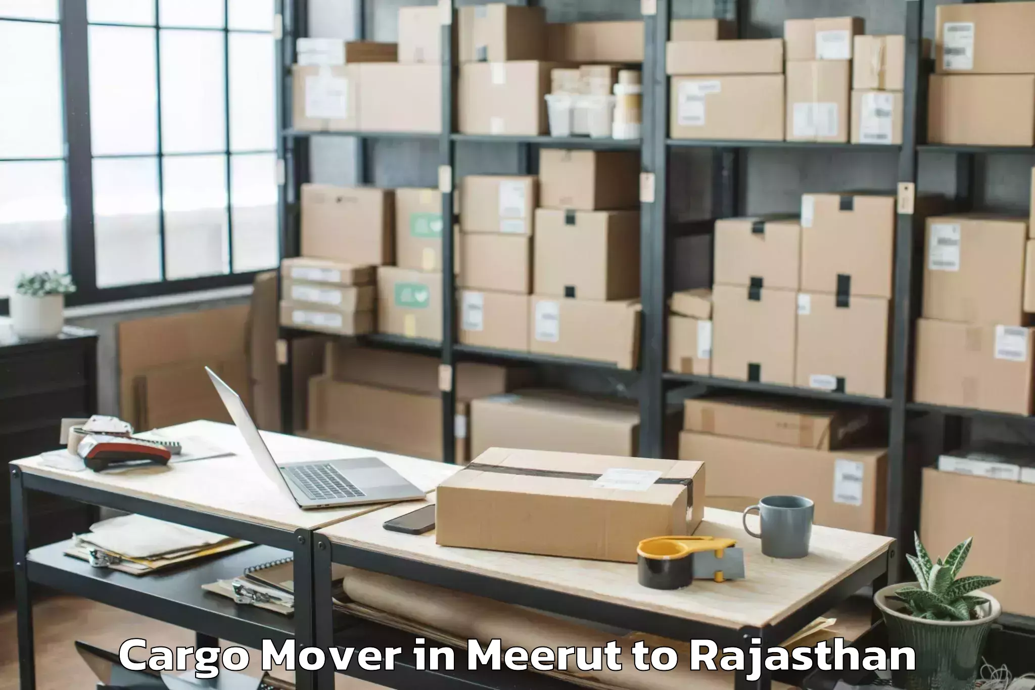 Meerut to Lalsot Cargo Mover Booking